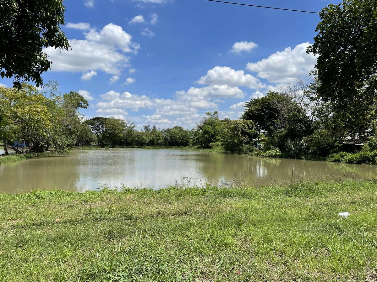 ขายที่ดินปทุมธานี รังสิต ธรรมศาสตร์ : ขายที่ดิน 101 ไร่ 1 งาน 3  ตร.วา  (ที่ดินโฉนด)  ถนนรังสิตคลอง10  ต.บึงบา  อ.หนองเสือ  ปทุมธานี