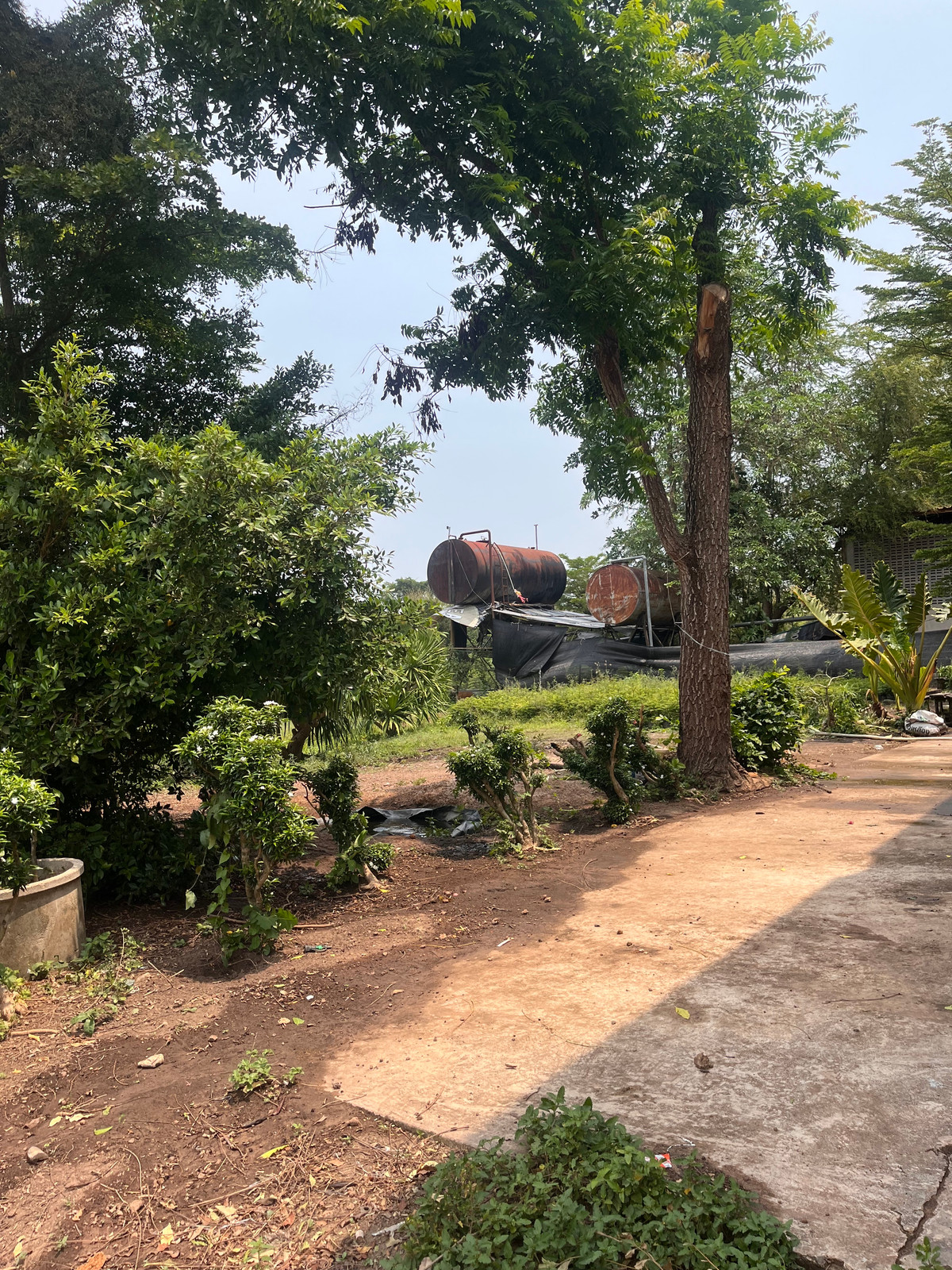 ขายที่ดินปราจีนบุรี : ขายที่ดินทำเลศักยภาพ  50 ไร่กว่า ติดถนนดำ ในเมือง ปราจีนบุรี