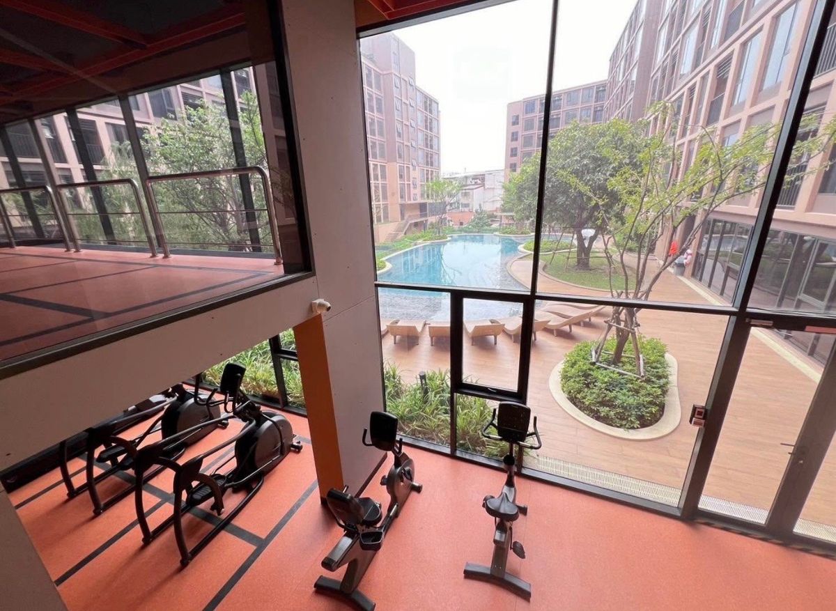 ให้เช่าคอนโดแจ้งวัฒนะ เมืองทอง : ให้เช่า วันเดอร์ เกษตร 