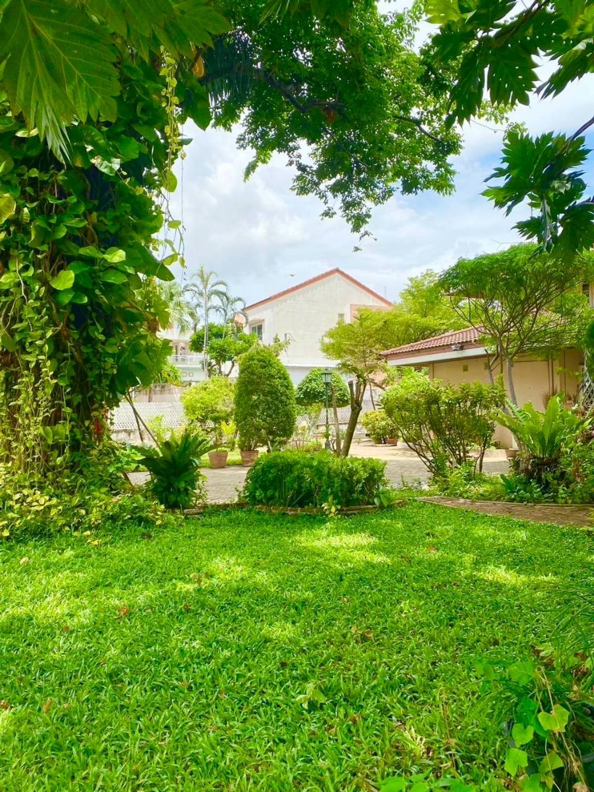 For SaleHouseBang Sue, Wong Sawang, Tao Pun : Classic house In the heart of Nonthaburi, beautiful garden