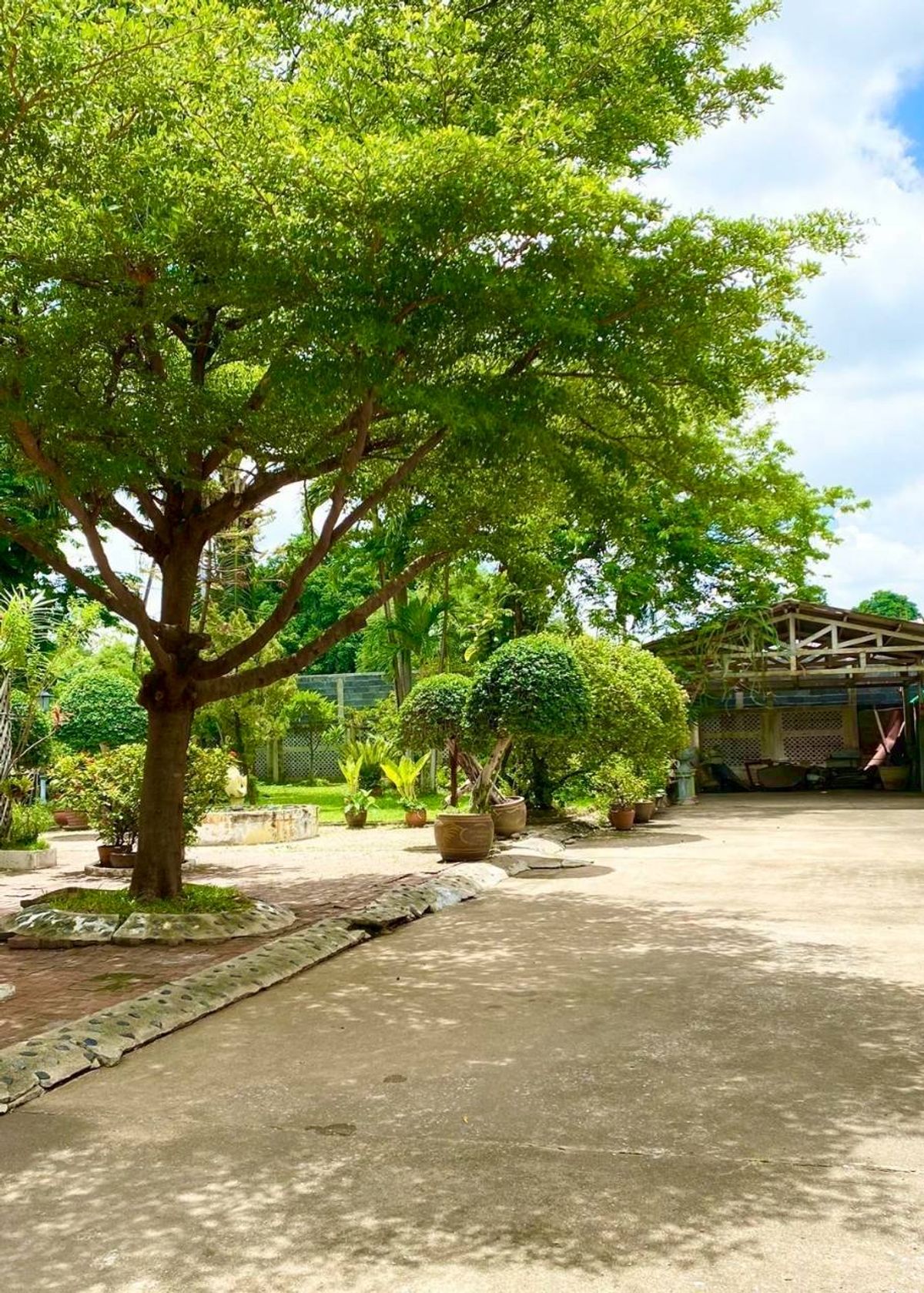 For SaleHouseBang Sue, Wong Sawang, Tao Pun : Classic house In the heart of Nonthaburi, beautiful garden