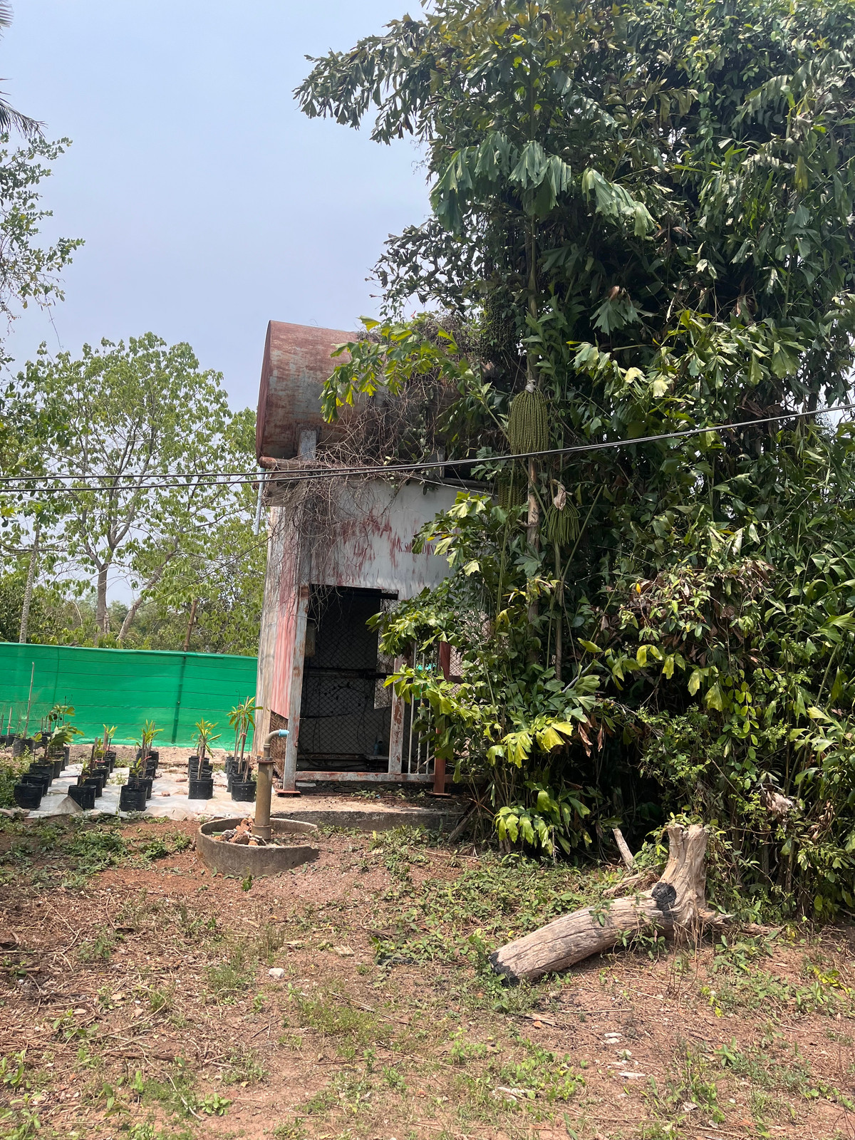 ขายที่ดินปราจีนบุรี : ขายที่ดินทำเลศักยภาพ  50 ไร่กว่า ติดถนนดำ ในเมือง ปราจีนบุรี