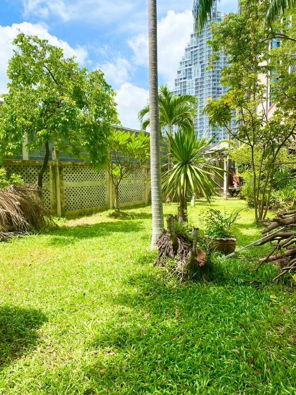 For SaleHouseBang Sue, Wong Sawang, Tao Pun : Classic house In the heart of Nonthaburi, beautiful garden