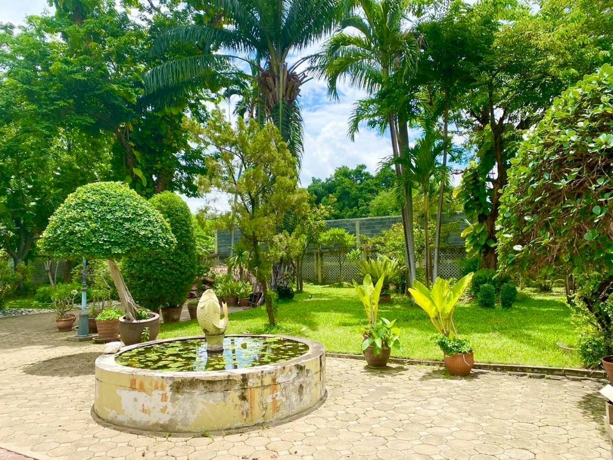 For SaleHouseBang Sue, Wong Sawang, Tao Pun : Classic house In the heart of Nonthaburi, beautiful garden
