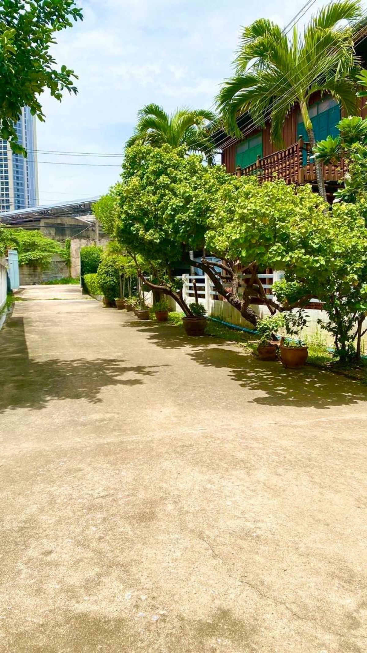 For SaleHouseBang Sue, Wong Sawang, Tao Pun : Classic house In the heart of Nonthaburi, beautiful garden