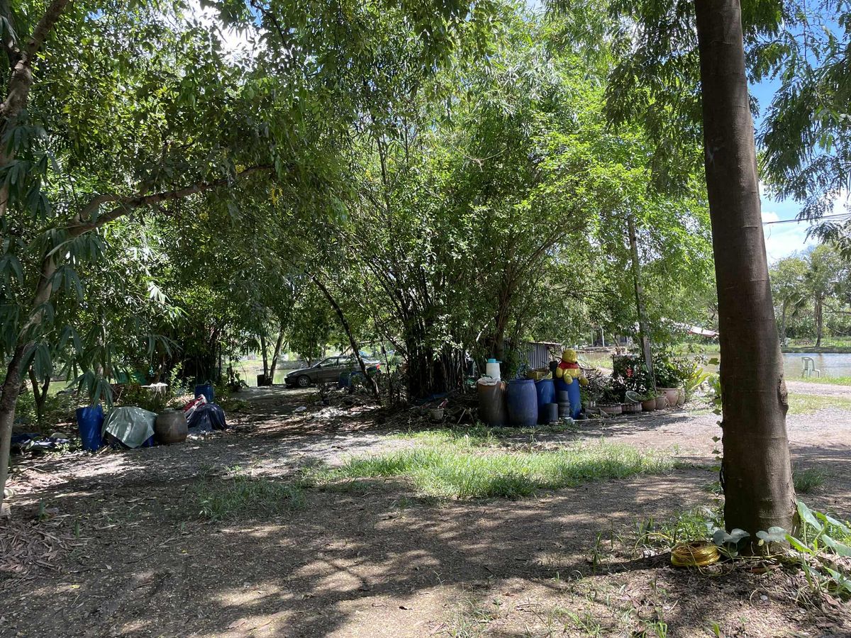 ขายที่ดินปทุมธานี รังสิต ธรรมศาสตร์ : ขายที่ดิน 101 ไร่ 1 งาน 3  ตร.วา  (ที่ดินโฉนด)  ถนนรังสิตคลอง10  ต.บึงบา  อ.หนองเสือ  ปทุมธานี