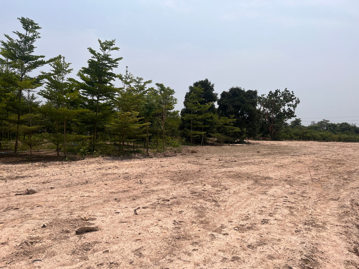 ขายที่ดินปราจีนบุรี : ขายที่ดินทำเลศักยภาพ  50 ไร่กว่า ติดถนนดำ ในเมือง ปราจีนบุรี