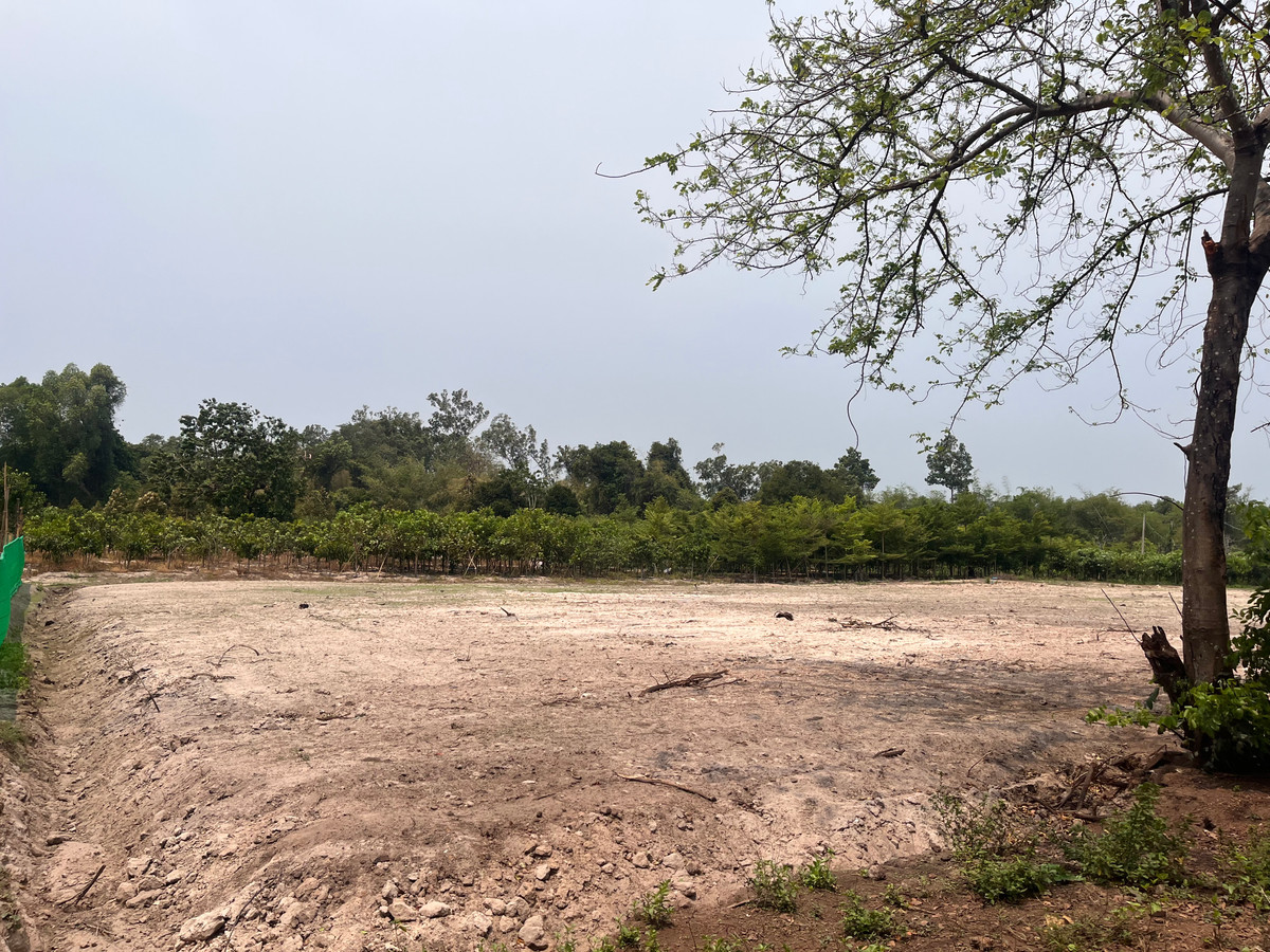 ขายที่ดินปราจีนบุรี : ขายที่ดินทำเลศักยภาพ  50 ไร่กว่า ติดถนนดำ ในเมือง ปราจีนบุรี