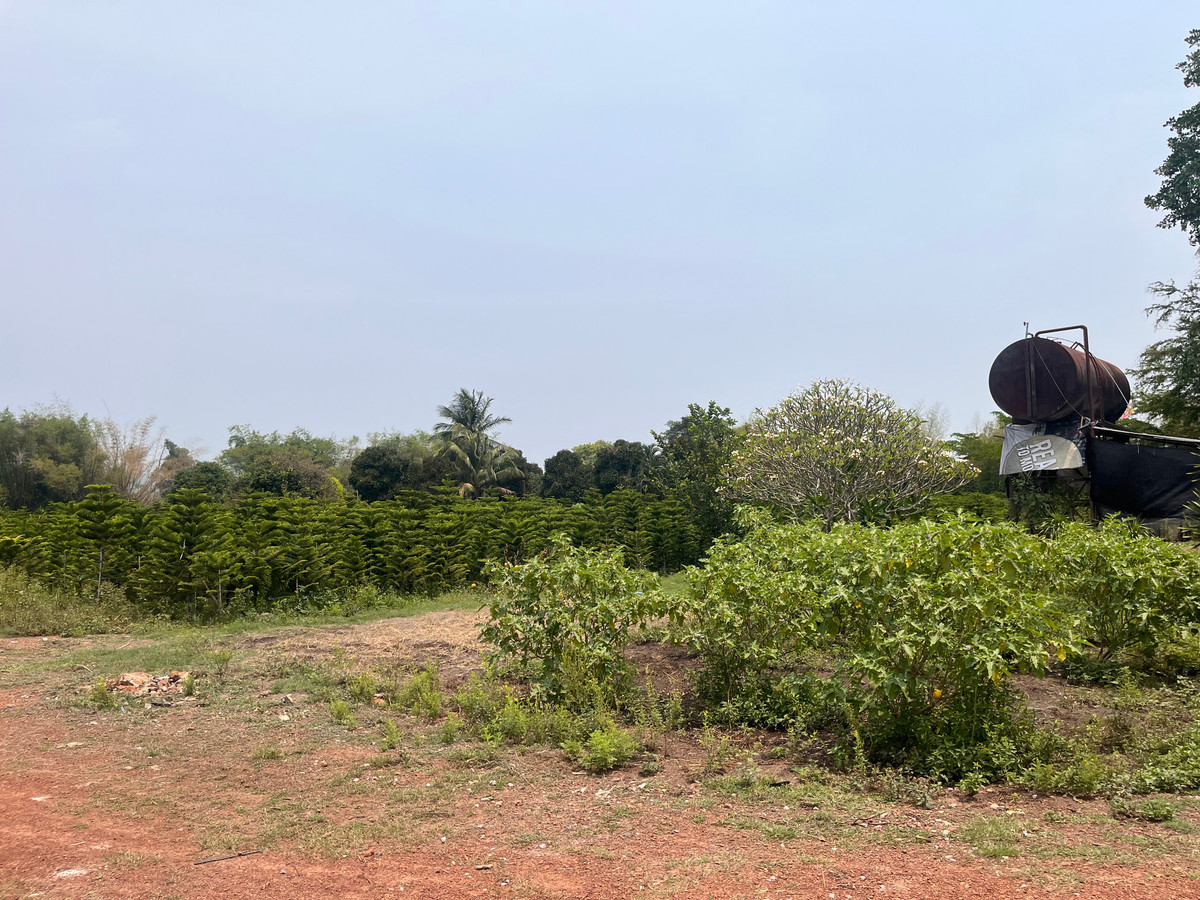 ขายที่ดินปราจีนบุรี : ขายที่ดินทำเลศักยภาพ  50 ไร่กว่า ติดถนนดำ ในเมือง ปราจีนบุรี