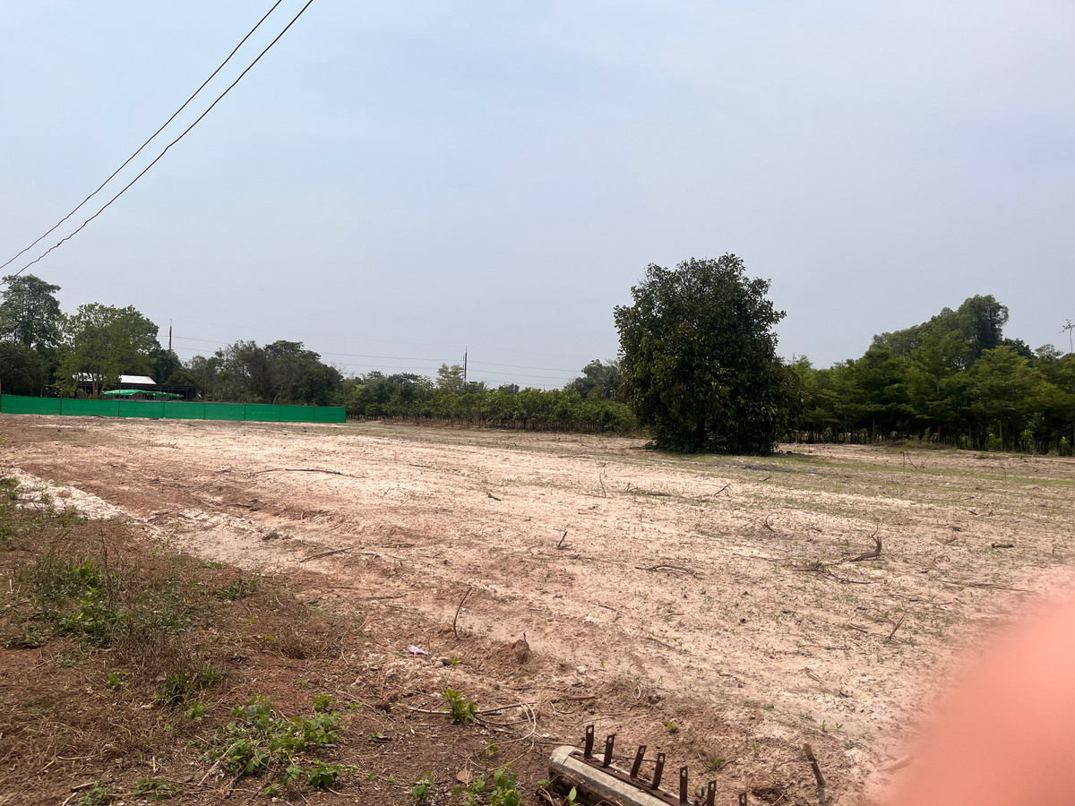 ขายที่ดินปราจีนบุรี : ขายที่ดินทำเลศักยภาพ  50 ไร่กว่า ติดถนนดำ ในเมือง ปราจีนบุรี