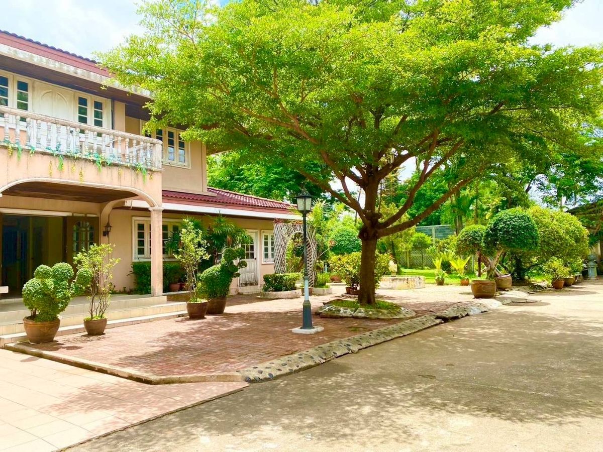 ขายบ้านบางซื่อ วงศ์สว่าง เตาปูน : บ้านทรงคลาสสิก ใจกลางนนทบุรี กว้าง สวนสวย