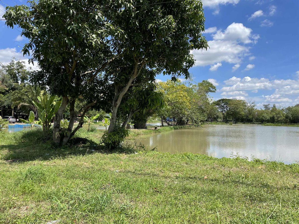 ขายที่ดินปทุมธานี รังสิต ธรรมศาสตร์ : ขายที่ดิน 101 ไร่ 1 งาน 3  ตร.วา  (ที่ดินโฉนด)  ถนนรังสิตคลอง10  ต.บึงบา  อ.หนองเสือ  ปทุมธานี