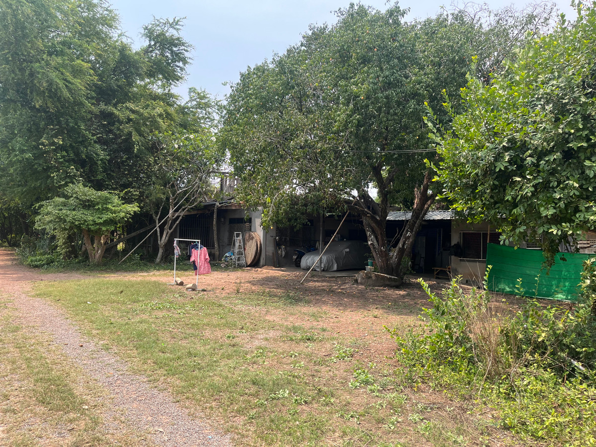 ขายที่ดินปราจีนบุรี : ขายที่ดินทำเลศักยภาพ  50 ไร่กว่า ติดถนนดำ ในเมือง ปราจีนบุรี