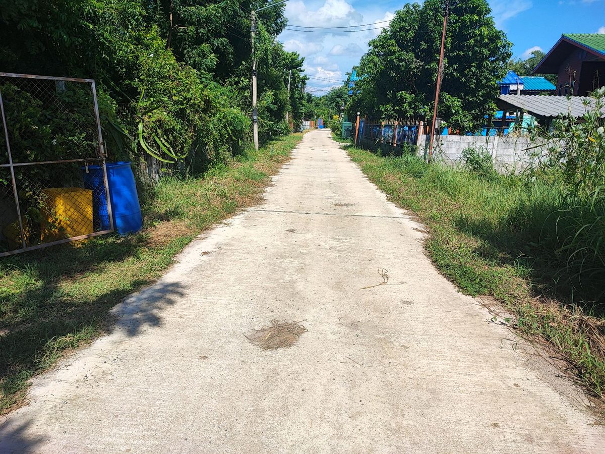 ขายที่ดินอ่างทอง : 7 ไร่ อ่างทองไชโย มีบ้าน มีสวน มีบ่อ มีน้ำบาดาล มีไฟ มีต้นไม้ใหญ่ ทำเกษตร ทำฟามปลา ทำบ้าน สนใจทักมาเลยครับ ติดต่อ 0817755104