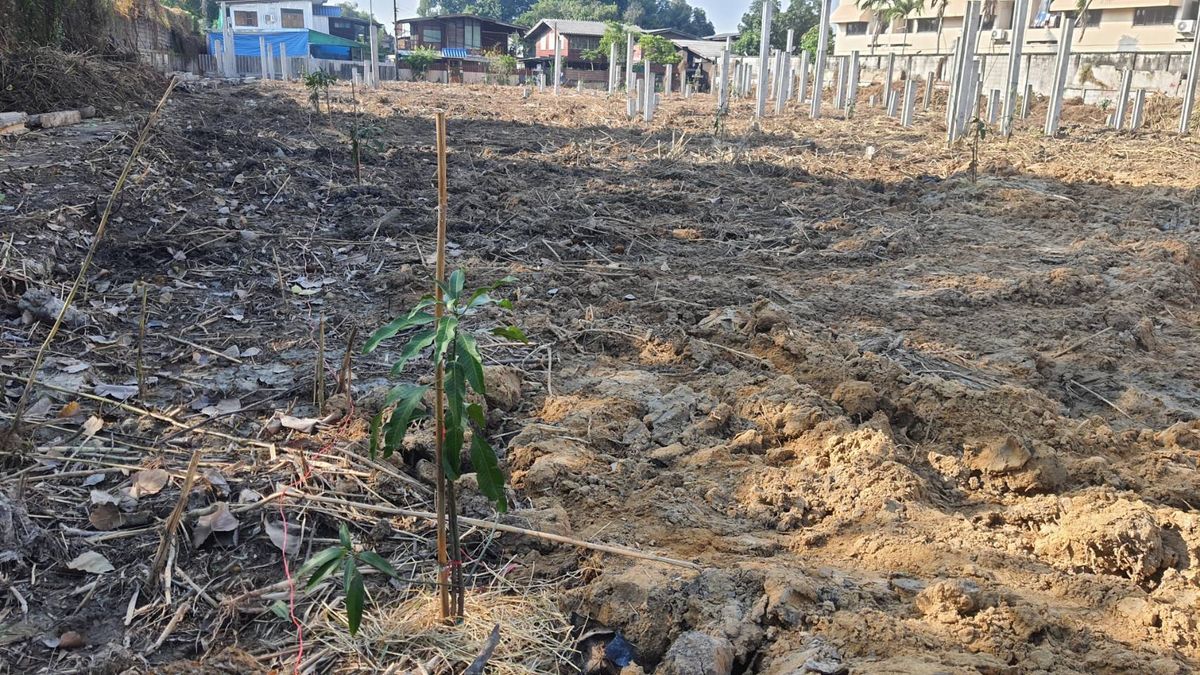 ให้เช่าที่ดินบางนา แบริ่ง ลาซาล : ปล่อยเช่า! 💥 ที่ดิน 3 ไร่ แถวสรรพาวุธ ใกล้สำนักงานและโรงเรียน 🌳