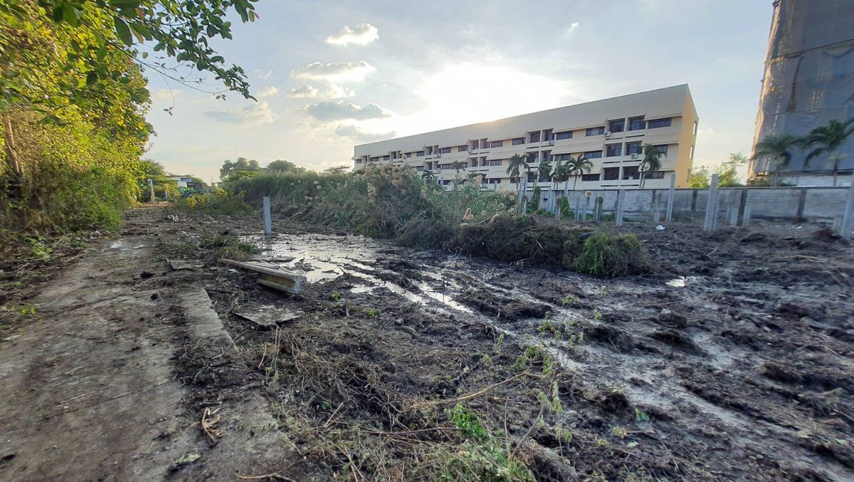 ให้เช่าที่ดินบางนา แบริ่ง ลาซาล : ปล่อยเช่า! 💥 ที่ดิน 3 ไร่ แถวสรรพาวุธ ใกล้สำนักงานและโรงเรียน 🌳