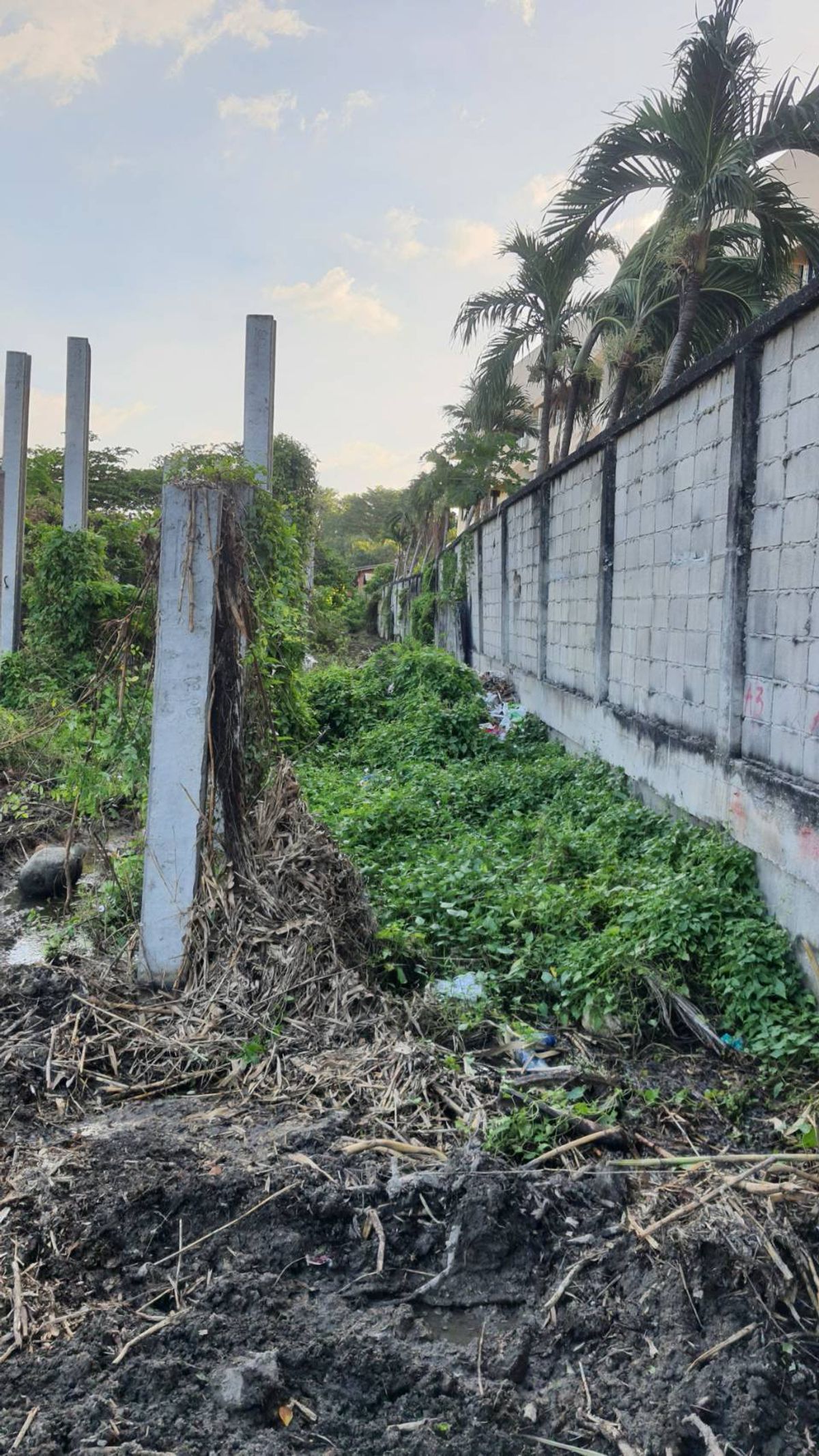 ให้เช่าที่ดินบางนา แบริ่ง ลาซาล : ปล่อยเช่า! 💥 ที่ดิน 3 ไร่ แถวสรรพาวุธ ใกล้สำนักงานและโรงเรียน 🌳