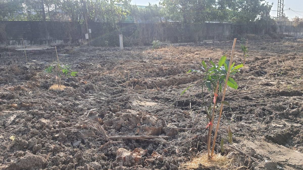 ให้เช่าที่ดินบางนา แบริ่ง ลาซาล : ปล่อยเช่า! 💥 ที่ดิน 3 ไร่ แถวสรรพาวุธ ใกล้สำนักงานและโรงเรียน 🌳