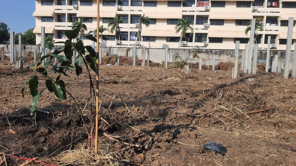 ให้เช่าที่ดินบางนา แบริ่ง ลาซาล : ปล่อยเช่า! 💥 ที่ดิน 3 ไร่ แถวสรรพาวุธ ใกล้สำนักงานและโรงเรียน 🌳