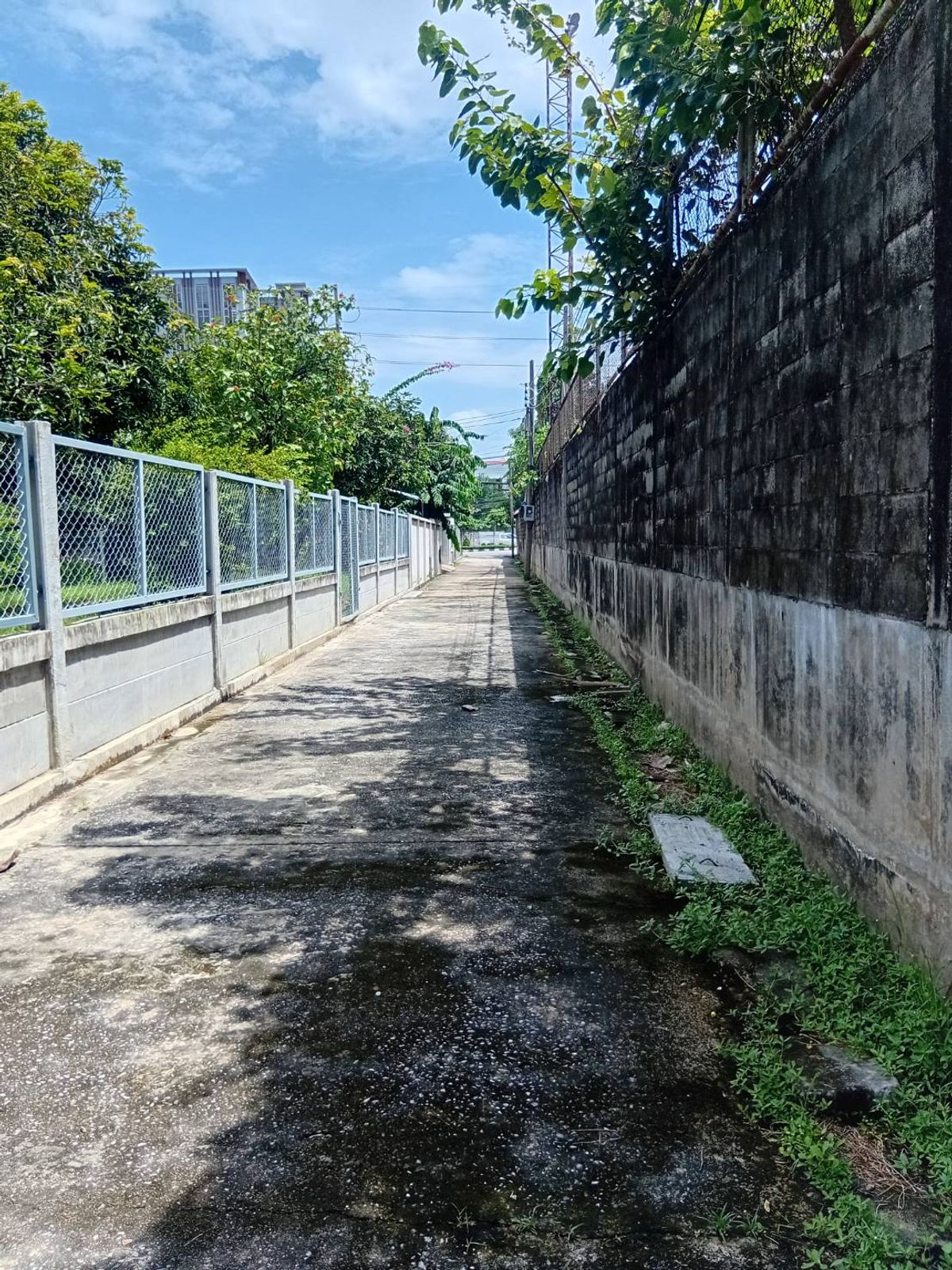 ให้เช่าที่ดินบางนา แบริ่ง ลาซาล : ปล่อยเช่า! 💥 ที่ดิน 3 ไร่ แถวสรรพาวุธ ใกล้สำนักงานและโรงเรียน 🌳