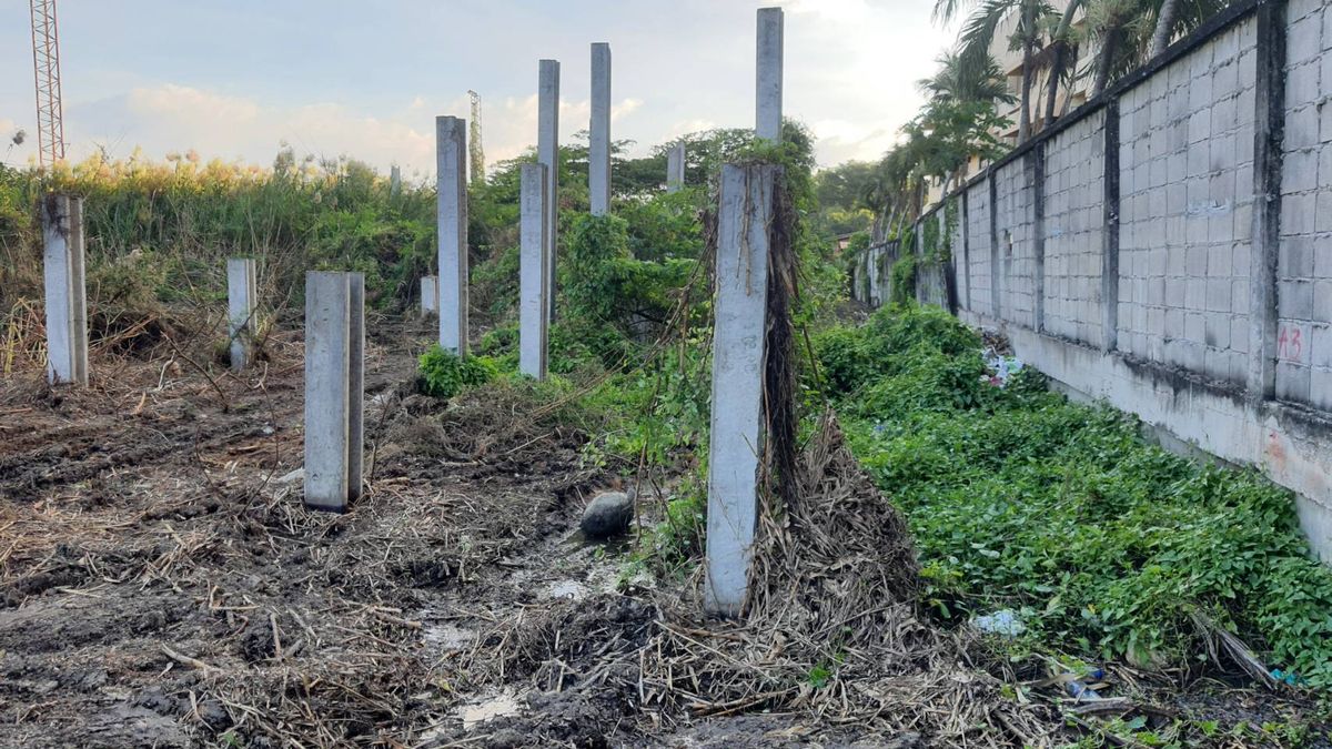 ให้เช่าที่ดินบางนา แบริ่ง ลาซาล : ปล่อยเช่า! 💥 ที่ดิน 3 ไร่ แถวสรรพาวุธ ใกล้สำนักงานและโรงเรียน 🌳