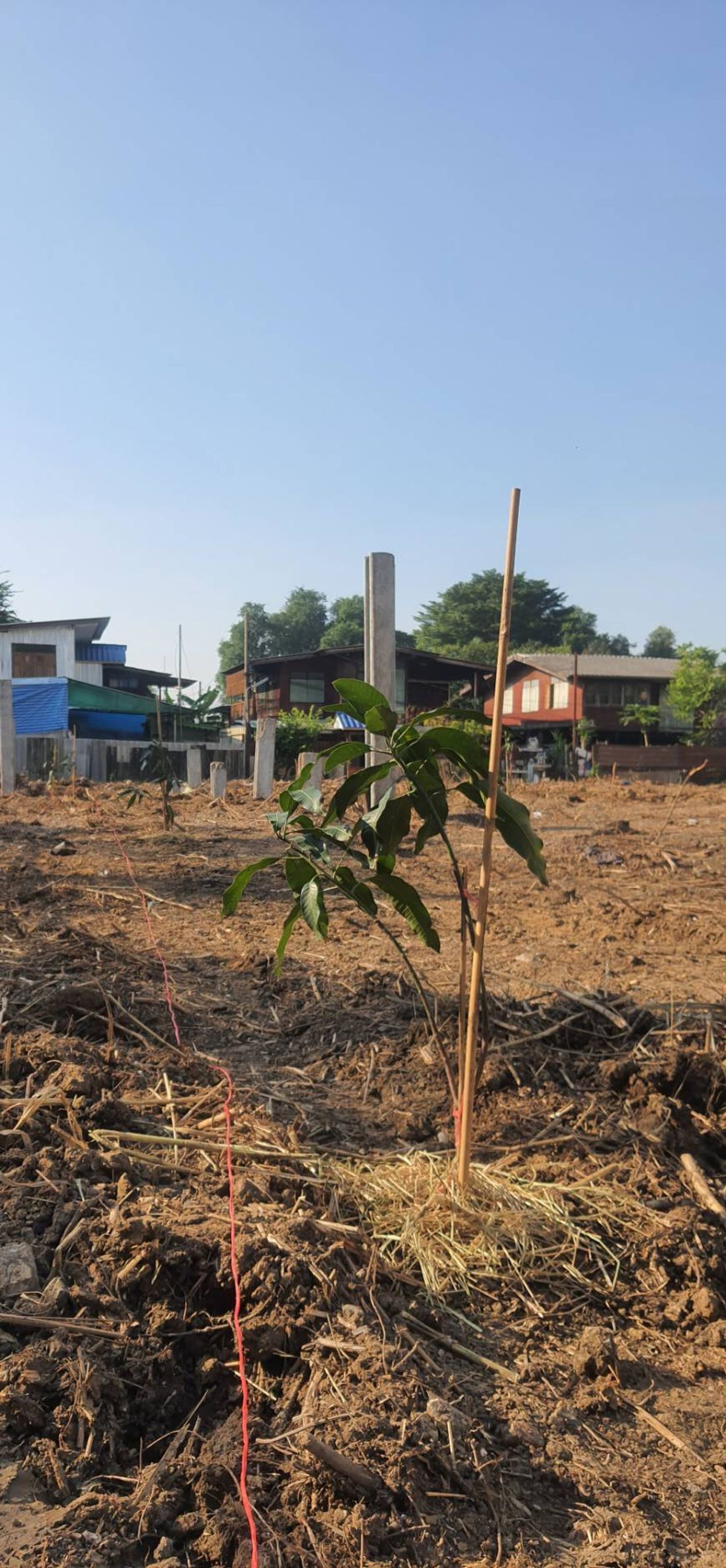 ให้เช่าที่ดินบางนา แบริ่ง ลาซาล : ปล่อยเช่า! 💥 ที่ดิน 3 ไร่ แถวสรรพาวุธ ใกล้สำนักงานและโรงเรียน 🌳