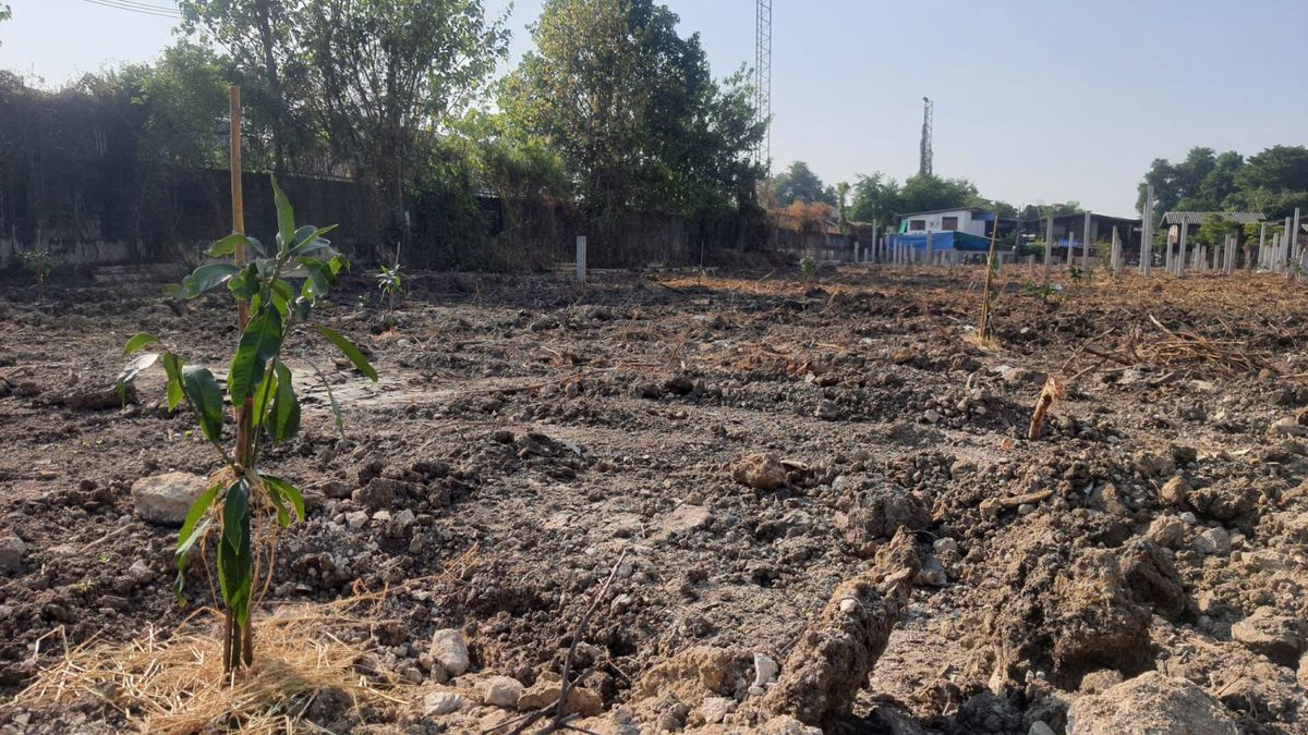 ให้เช่าที่ดินบางนา แบริ่ง ลาซาล : ปล่อยเช่า! 💥 ที่ดิน 3 ไร่ แถวสรรพาวุธ ใกล้สำนักงานและโรงเรียน 🌳