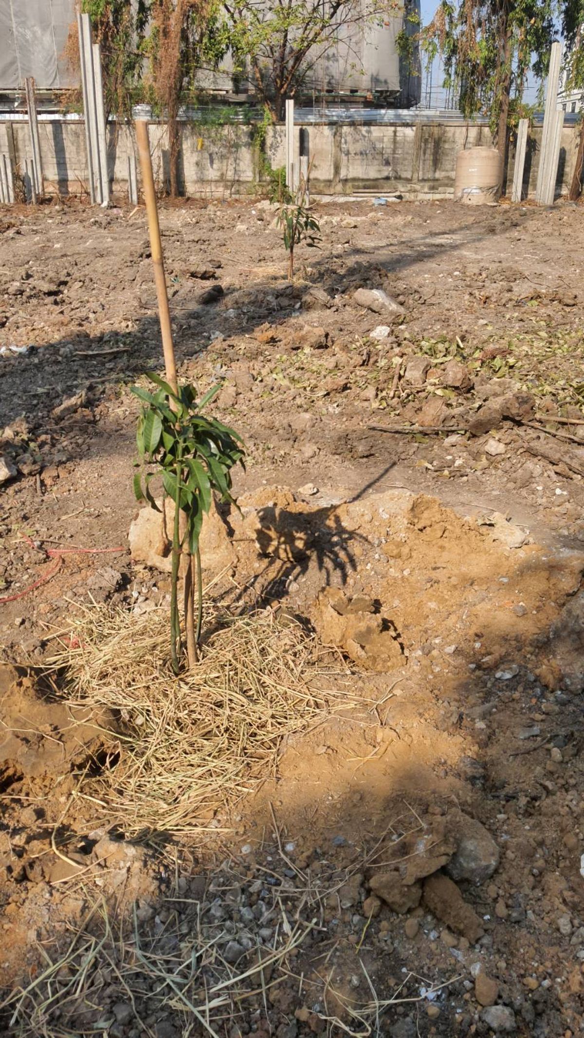 ให้เช่าที่ดินบางนา แบริ่ง ลาซาล : ปล่อยเช่า! 💥 ที่ดิน 3 ไร่ แถวสรรพาวุธ ใกล้สำนักงานและโรงเรียน 🌳