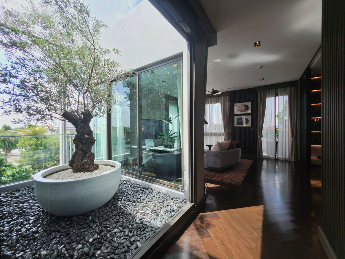 ขายบ้านเลียบทางด่วนรามอินทรา : 95E1 – Ninety Five East One 📞 092-690-5445 Curated Show Villa 846 ตร.ม. 160 Mb. พร้อม Man Cave Private Garage  Flagship Urban Sanctuary in Bangkok 