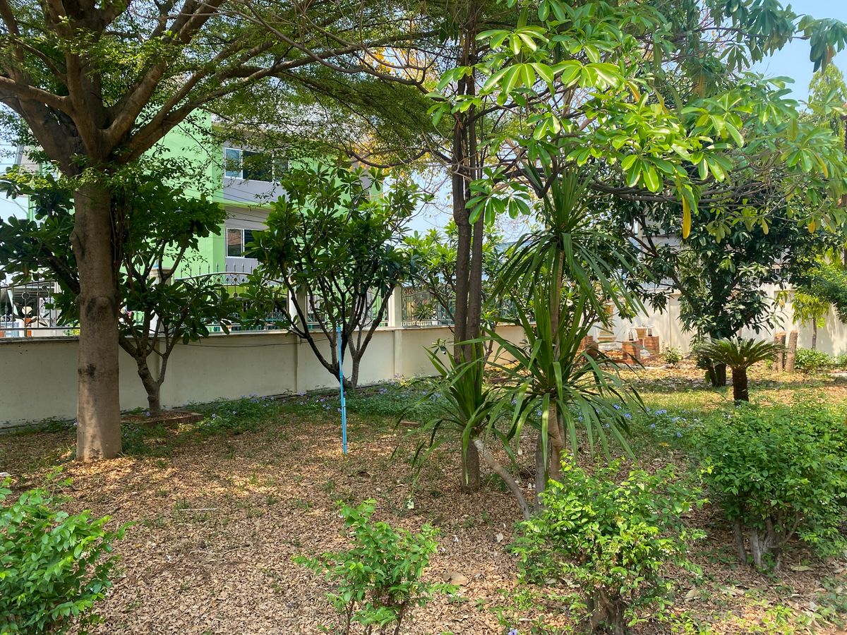 ขายบ้านเกษตร นวมินทร์ ลาดปลาเค้า : บ้านเดี่ยว รามอินทรา 38 แยก 7 / 4 ห้องนอน (ขาย), Detached House Ram Intra 38 Yaek 7 / 4 Bedrooms (FOR SALE) TPM080