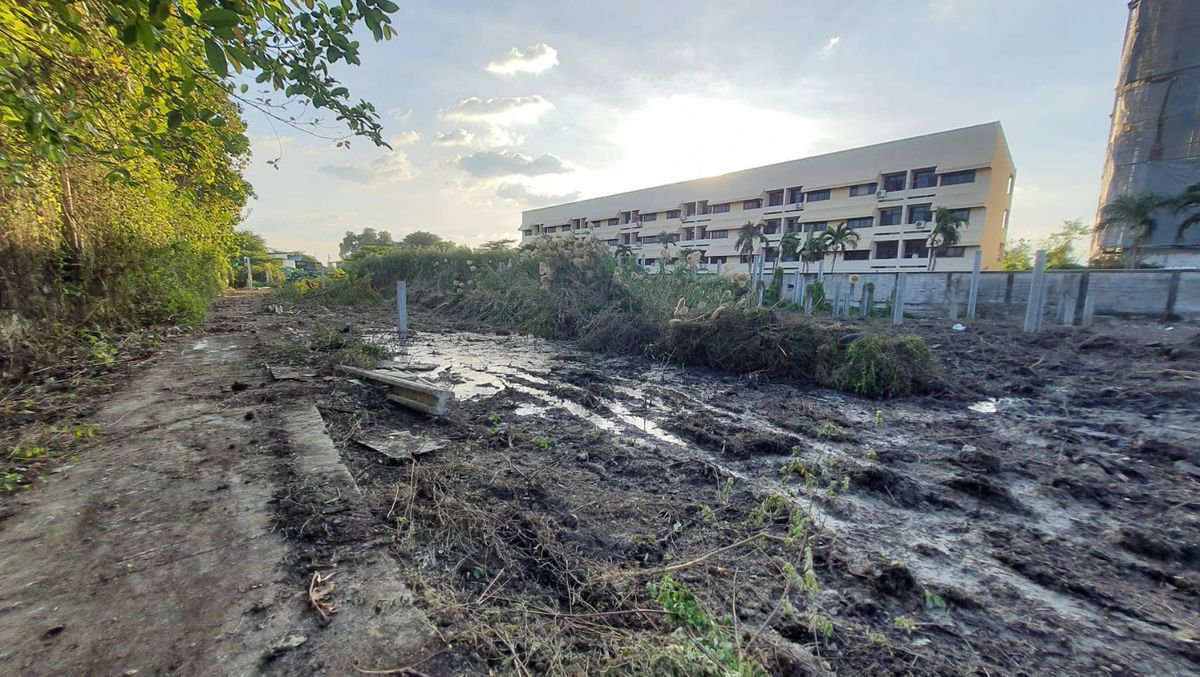 ให้เช่าที่ดินบางนา แบริ่ง ลาซาล : ปล่อยเช่า! 💥 ที่ดิน 3 ไร่ แถวสรรพาวุธ ใกล้สำนักงานและโรงเรียน 🌳