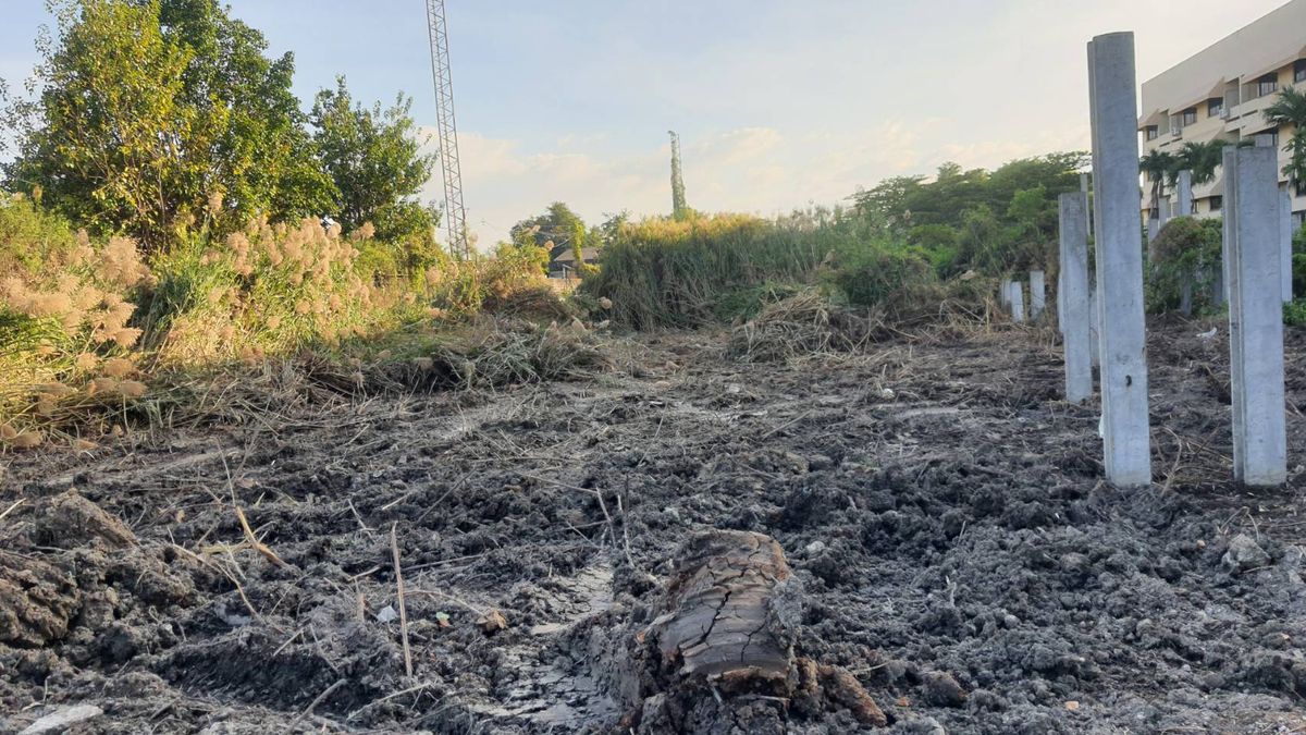 ให้เช่าที่ดินบางนา แบริ่ง ลาซาล : ปล่อยเช่า! 💥 ที่ดิน 3 ไร่ แถวสรรพาวุธ ใกล้สำนักงานและโรงเรียน 🌳