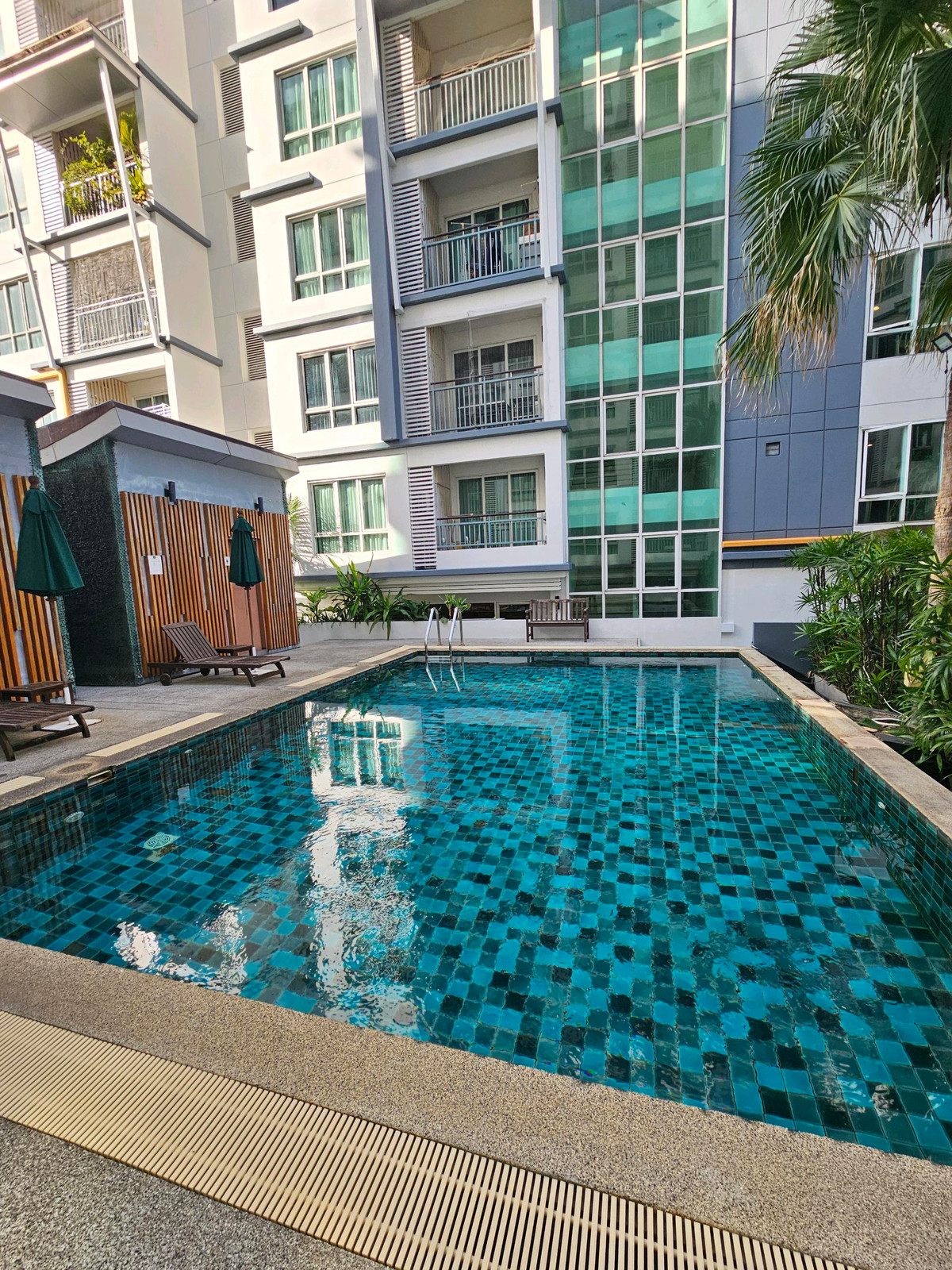 For RentCondoSukhumvit, Asoke, Thonglor : Open room, view pool, 1 bedroom, 1 bathroom, Voque Sukhumvit 16 (Voque Sukhumvit 16)
