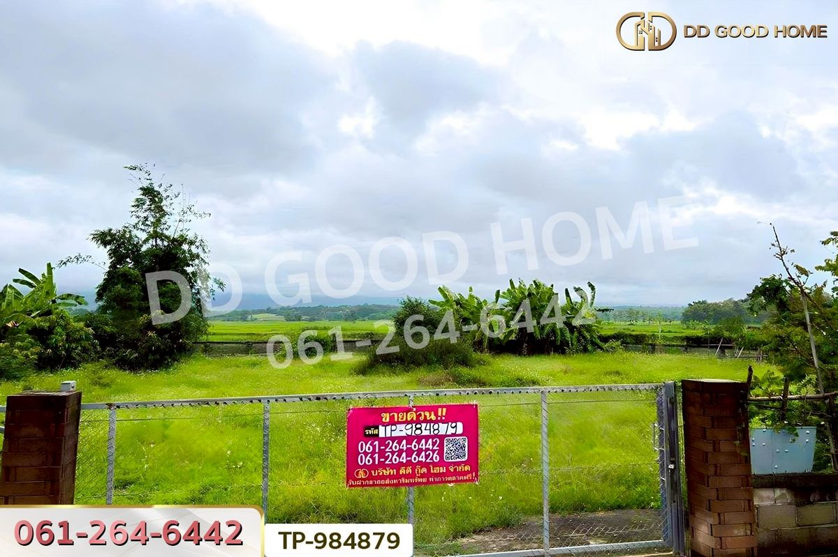 ขายที่ดินพะเยา : DD-984879 ที่ดินพระธาตุขิงแกง 1 ไร่ 34.1 ตร.ว. พะเยา ใกล้โลตัส สาขาจุน