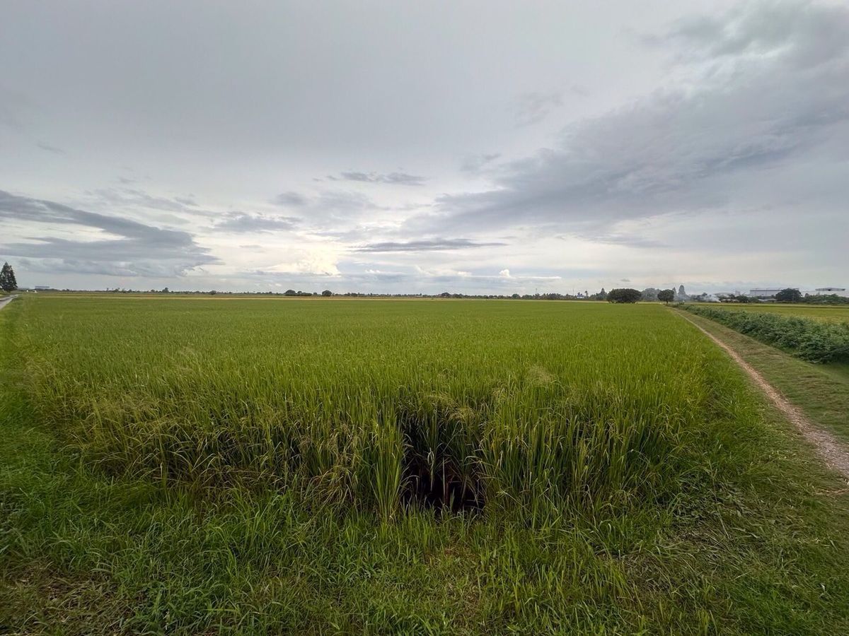 ขายที่ดินสุพรรณบุรี : ขายที่ดินสวย อำเภอเมืองสุพรรณ เเบ่งขาย ซื้อเก็บทำกำไร ซื้อเเบ่งเเปลงขาย พื้นที่ 27 ไร่ 2 งาน ติดถนน 3 ด้าน 