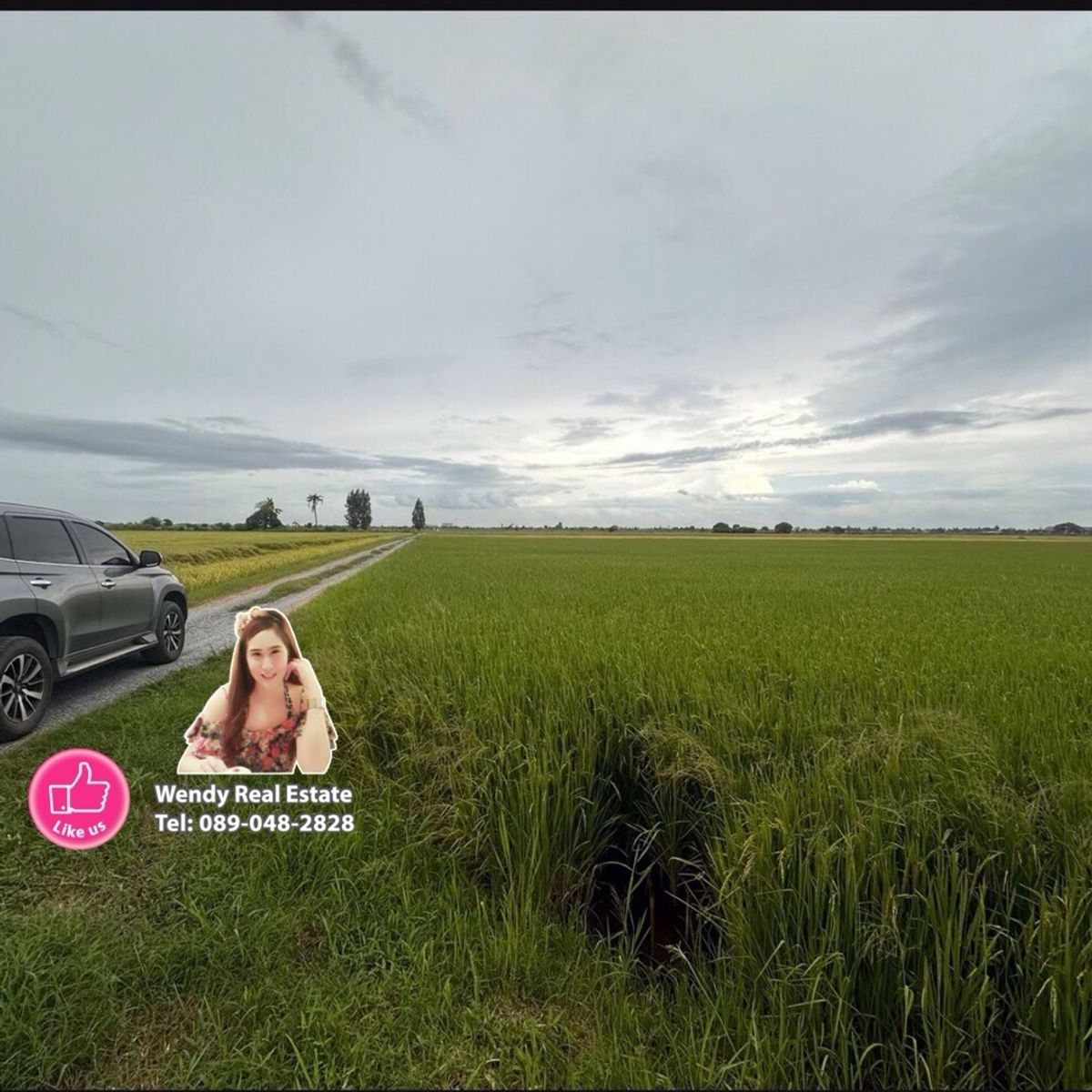 For SaleLandSuphan Buri : Beautiful land for sale, Mueang Suphan District. Don Pho Thong Subdistrict Buy and keep profit Buy and sell plots, area 27 rai 3 ngan, next to road on 3 sides.