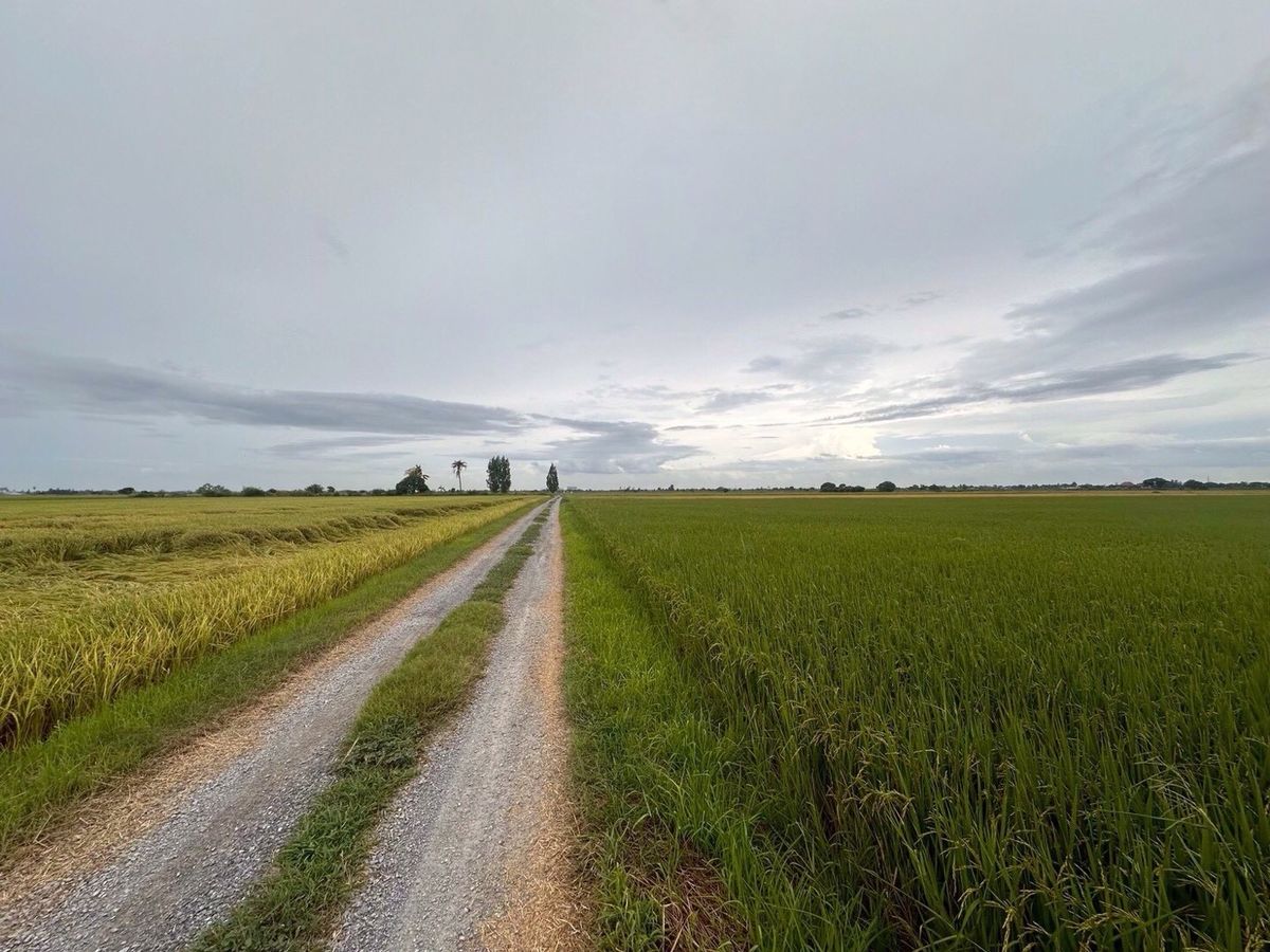 ขายที่ดินสุพรรณบุรี : ขายที่ดินสวย อำเภอเมืองสุพรรณ เเบ่งขาย ซื้อเก็บทำกำไร ซื้อเเบ่งเเปลงขาย พื้นที่ 27 ไร่ 2 งาน ติดถนน 3 ด้าน 