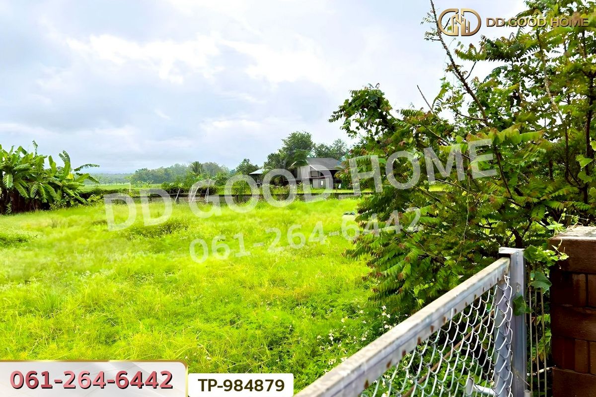 ขายที่ดินพะเยา : DD-984879 ที่ดินพระธาตุขิงแกง 1 ไร่ 34.1 ตร.ว. พะเยา ใกล้โลตัส สาขาจุน