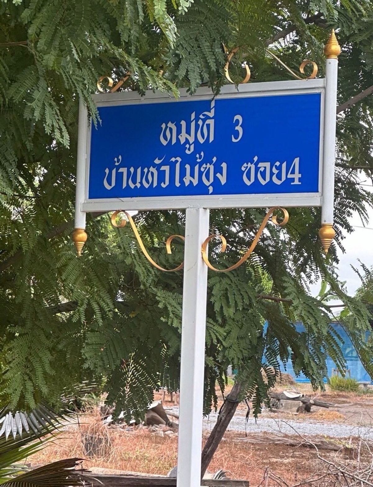 ขายที่ดินสุพรรณบุรี : ขายที่ดินสวย อำเภอเมืองสุพรรณ เเบ่งขาย ซื้อเก็บทำกำไร ซื้อเเบ่งเเปลงขาย พื้นที่ 27 ไร่ 2 งาน ติดถนน 3 ด้าน 
