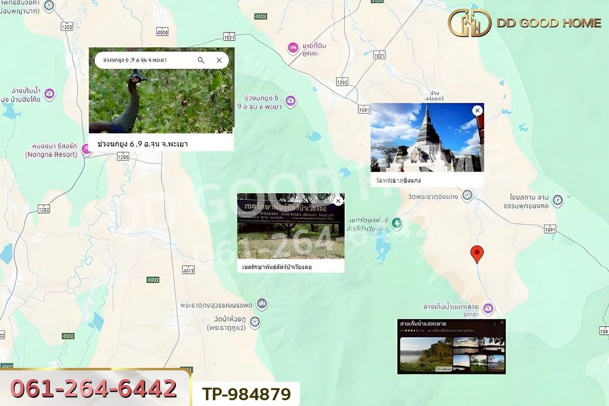 ขายที่ดินพะเยา : DD-984879 ที่ดินพระธาตุขิงแกง 1 ไร่ 34.1 ตร.ว. พะเยา ใกล้โลตัส สาขาจุน