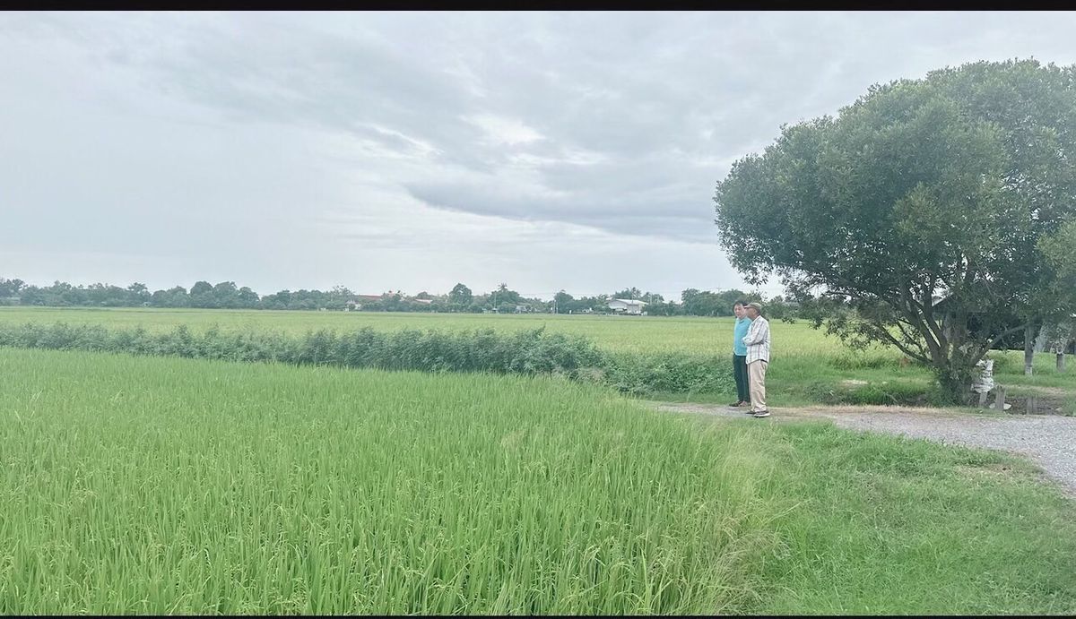 ขายที่ดินสุพรรณบุรี : ขายที่ดินสวย อำเภอเมืองสุพรรณ เเบ่งขาย ซื้อเก็บทำกำไร ซื้อเเบ่งเเปลงขาย พื้นที่ 27 ไร่ 2 งาน ติดถนน 3 ด้าน 