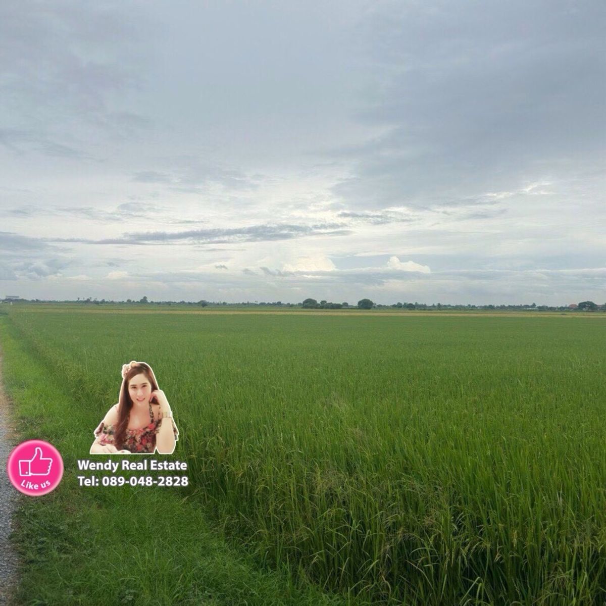 ขายที่ดินสุพรรณบุรี : ขายที่ดินสวย อำเภอเมืองสุพรรณ เเบ่งขาย ซื้อเก็บทำกำไร ซื้อเเบ่งเเปลงขาย พื้นที่ 27 ไร่ 2 งาน ติดถนน 3 ด้าน 