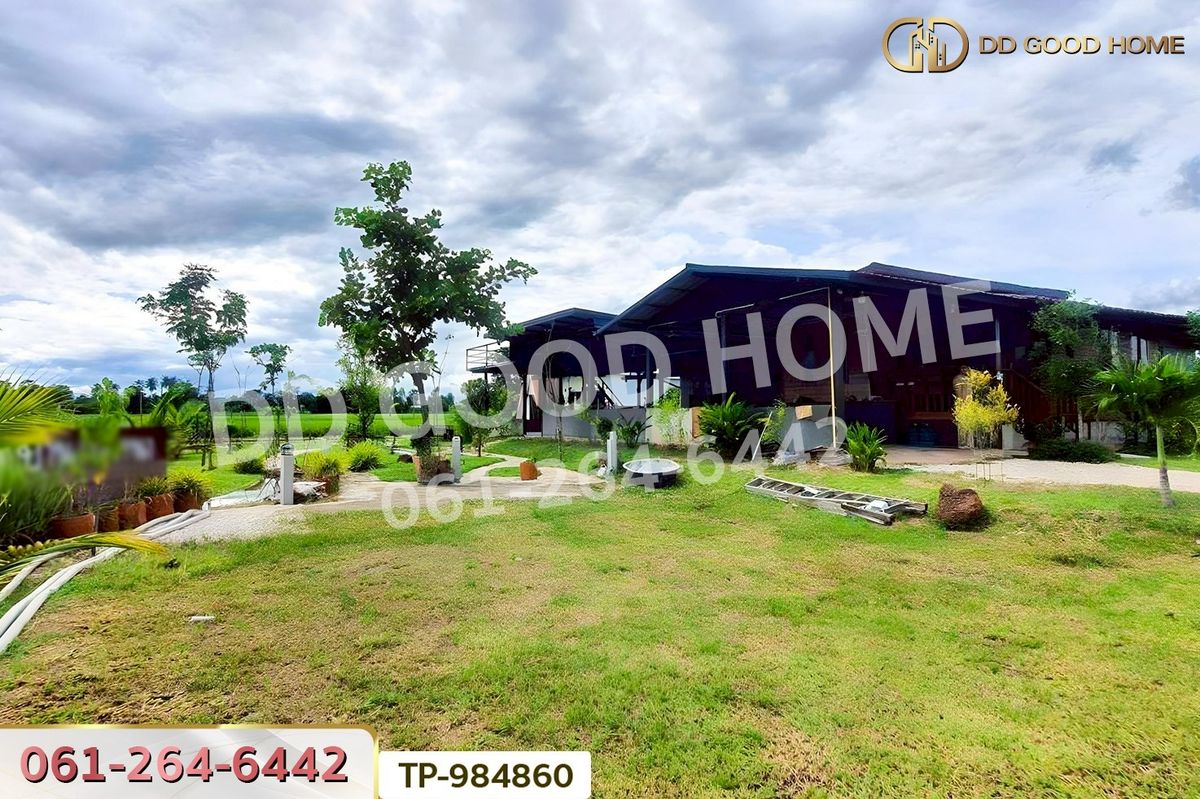 ขายที่ดินชัยนาท : NI-984860 ที่ดินพร้อมบ้านเดี่ยวหนองมะโมง 1 ไร่ (บ้านกลางนาโฮมสเตย์) ชัยนาท ใกล้โลตัส ชัยนาท