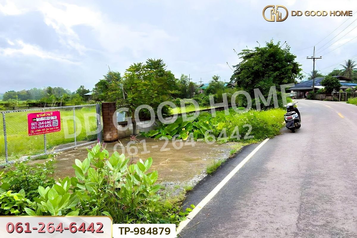 ขายที่ดินพะเยา : DD-984879 ที่ดินพระธาตุขิงแกง 1 ไร่ 34.1 ตร.ว. พะเยา ใกล้โลตัส สาขาจุน