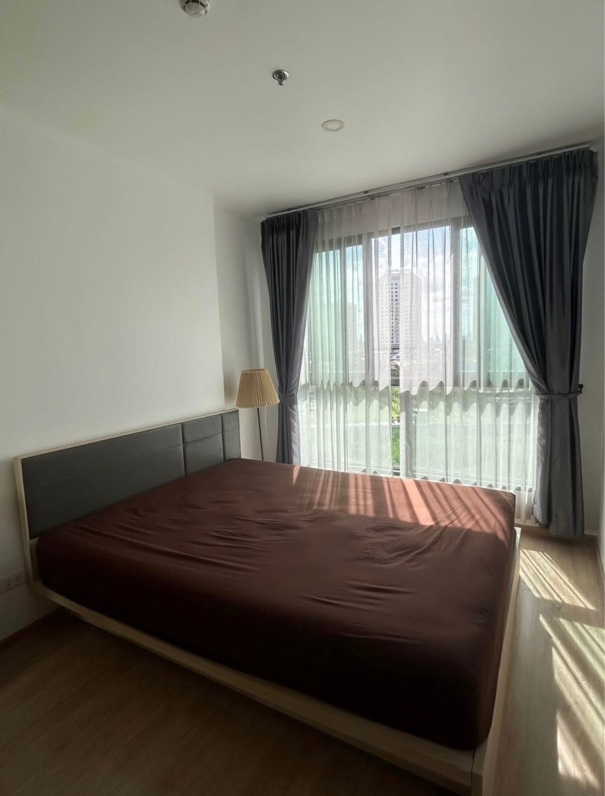 ขายคอนโดบางนา แบริ่ง ลาซาล : Ideo O2 / 1 Bedroom (SALE WITH TENANT), ไอดีโอ โอทู / 1 ห้องนอน (ขายพร้อมผู้เช่า) PANG131