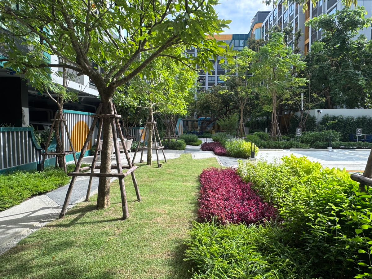 ขายคอนโดบางแค เพชรเกษม : 🔥𝙏𝙝𝙚 𝙈𝙪𝙫𝙚 𝙋𝙖𝙬 𝘽𝙖𝙣𝙜𝙠𝙝𝙚𝙖 🔥🐶😺 คอนโดเลี้ยงสัตว์ ห้องแต่งครบ เฟอร์+เครื่องใช้ไฟฟ้า ส่วนลดจัดเต็ม รับประกันการันตีราคาดีที่สุด💯📱092-8088899