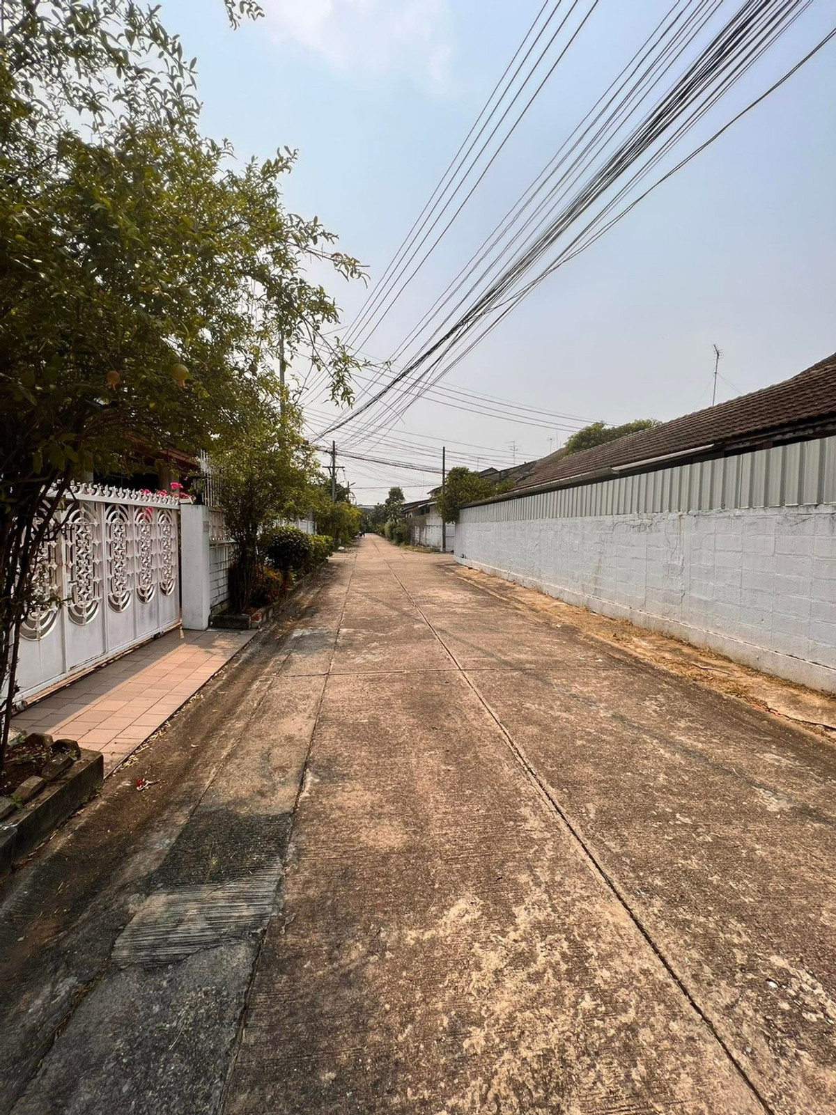 ให้เช่าบ้านเกษตรศาสตร์ รัชโยธิน : บ้านเดี่ยว 105ตรว. ถนนพหลโยธิน น้ำไม่ท่วม รีโนเวทใหม่ เดิน3นาทีถึงBTS 2ชั้น 5ห้องนอน