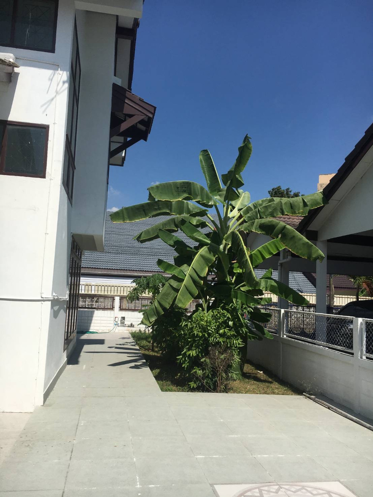 ให้เช่าบ้านเกษตรศาสตร์ รัชโยธิน : บ้านเดี่ยว 105ตรว. ถนนพหลโยธิน น้ำไม่ท่วม รีโนเวทใหม่ เดิน3นาทีถึงBTS 2ชั้น 5ห้องนอน