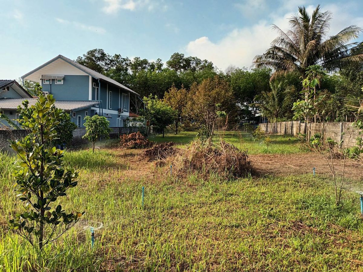 ขายที่ดินจันทบุรี : ที่ดินแปลงสวย ทำเลดี ใกล้สุขุมวิทบรรยากาศดี ลมเย็น วิวโล่งสบาย