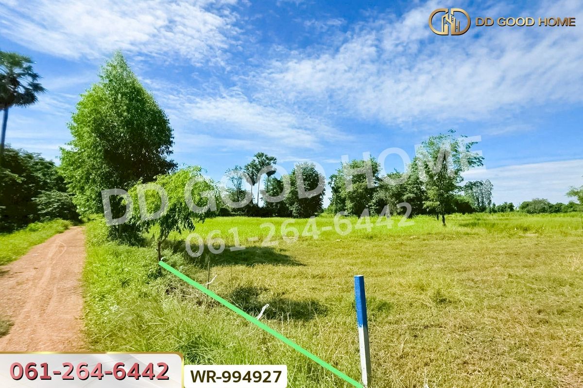 ขายที่ดินชัยนาท : WR-994927 ที่ดินหันคา 149 ไร่ 114 ตร.ว. ชัยนาท ใกล้โรงพยาบาลหันคา